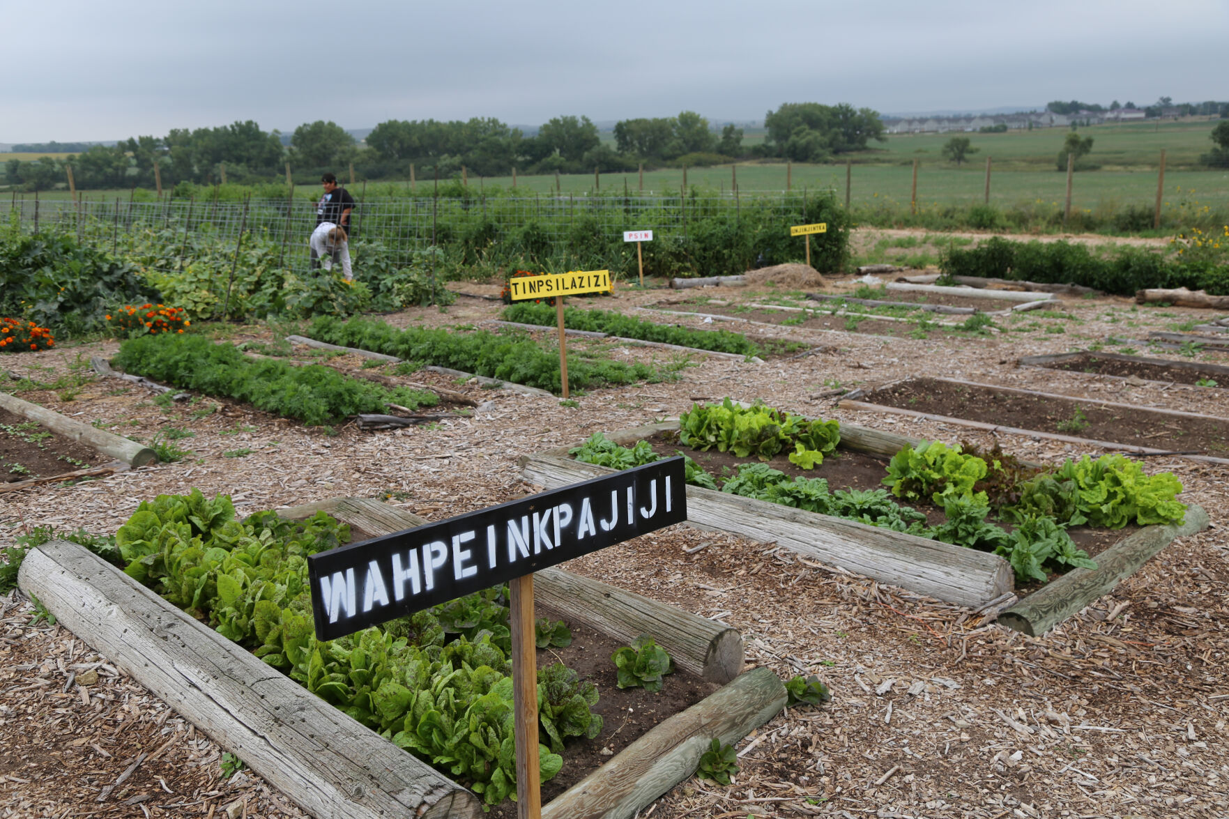 Community Garden